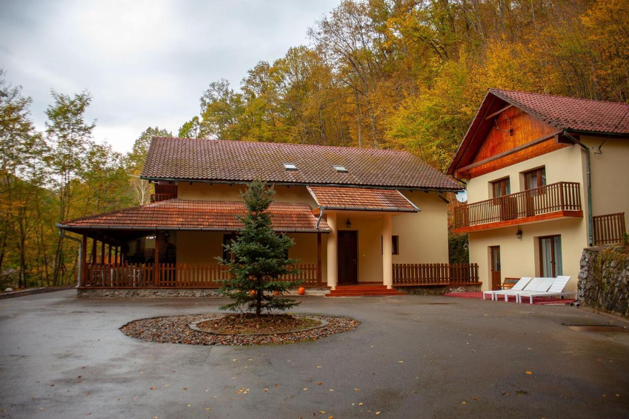 Pensiunea Valea Gepisului Grosi  외부 사진