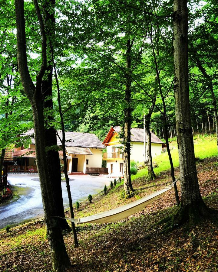 Pensiunea Valea Gepisului Grosi  외부 사진