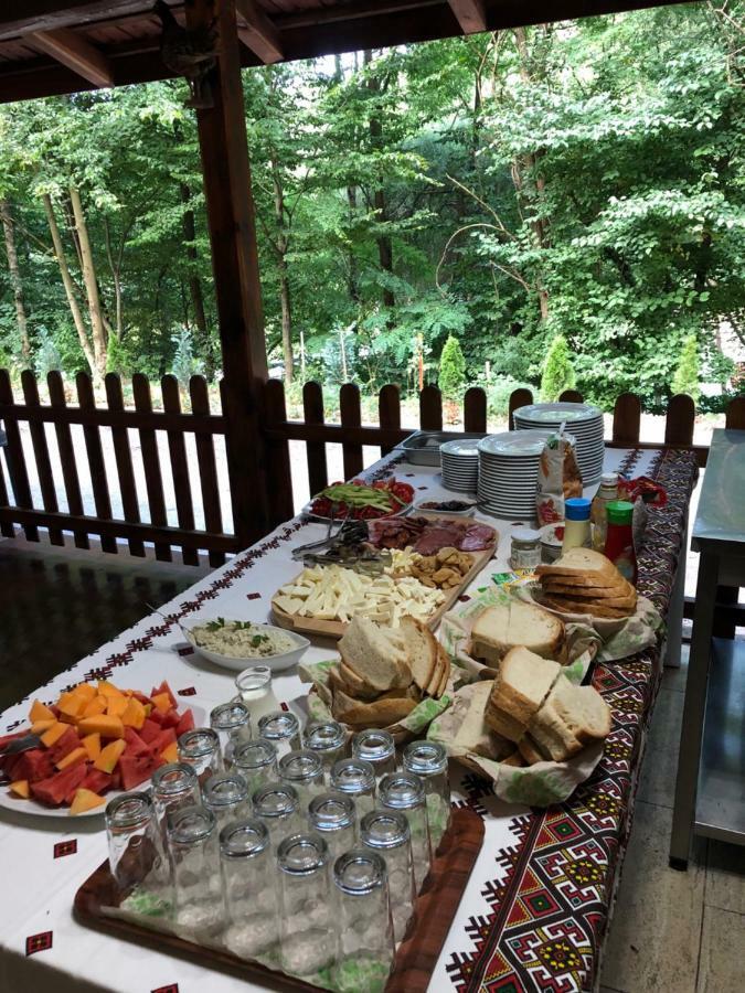Pensiunea Valea Gepisului Grosi  외부 사진